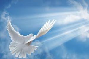 Avisos Personales  GRACIAS AL ESPIRITU SANTO